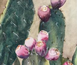 Cactus Apples by Susan Anderson